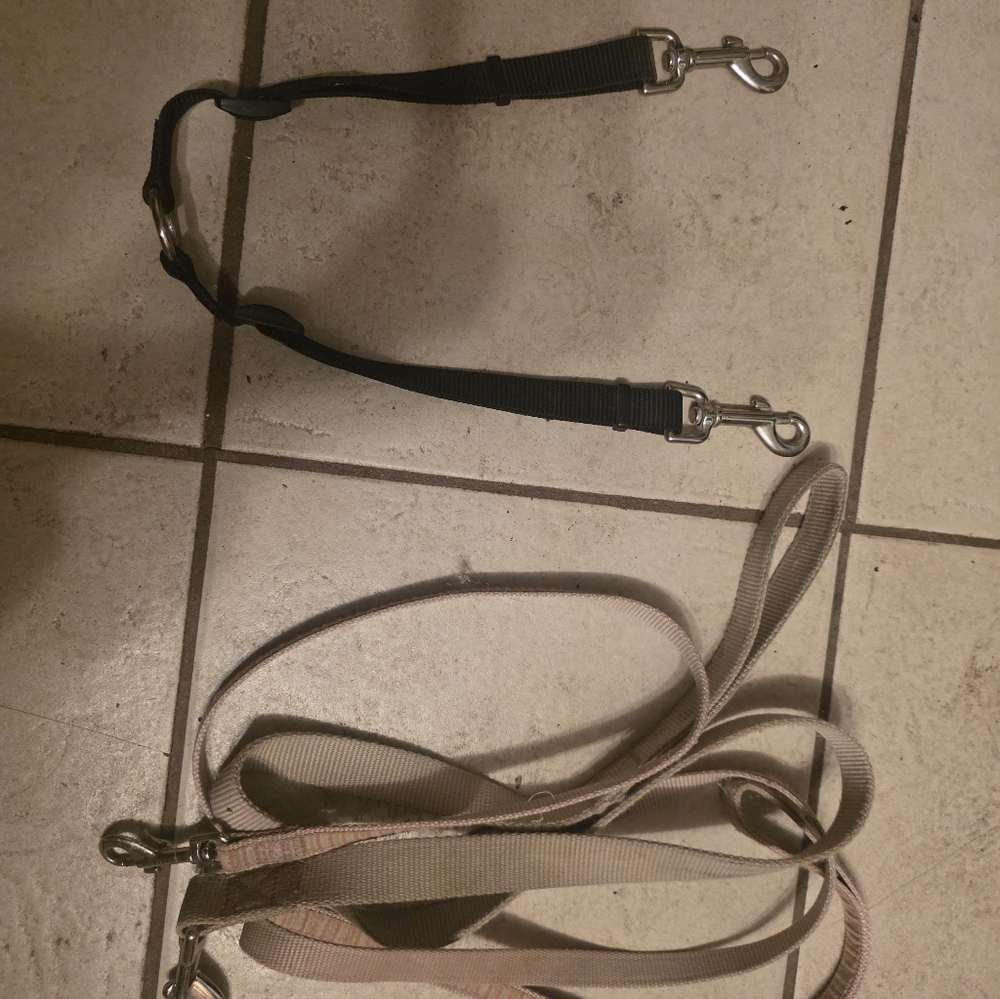 Dog Walking Coupler + 2 Pink Leashes